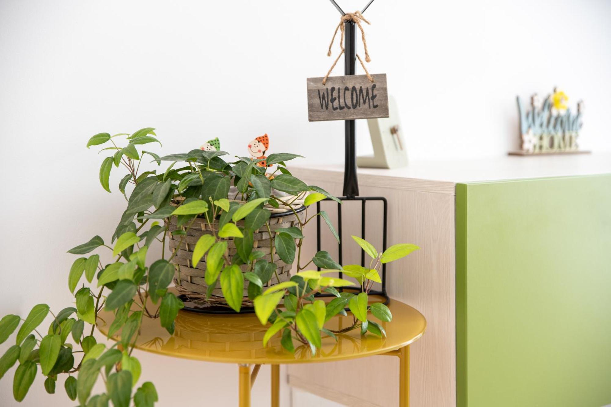 Springhome - Cozy Apartment With Balcony & Parking Braşov Esterno foto